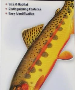Quick Reference Publishing Gear Quick Reference Fish Guides