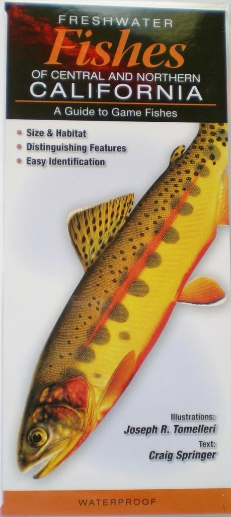 Quick Reference Publishing Gear Quick Reference Fish Guides 4 Quick Reference Publishing Gear Quick Reference Fish Guides