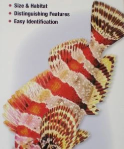 Quick Reference Publishing Gear Quick Reference Fish Guides 14 Quick Reference Publishing Gear Quick Reference Fish Guides