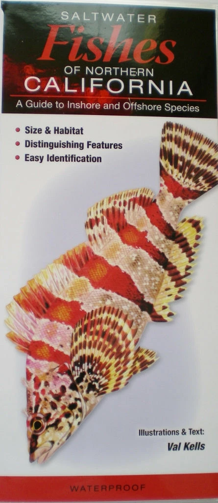 Quick Reference Publishing Gear Quick Reference Fish Guides 7 Quick Reference Publishing Gear Quick Reference Fish Guides