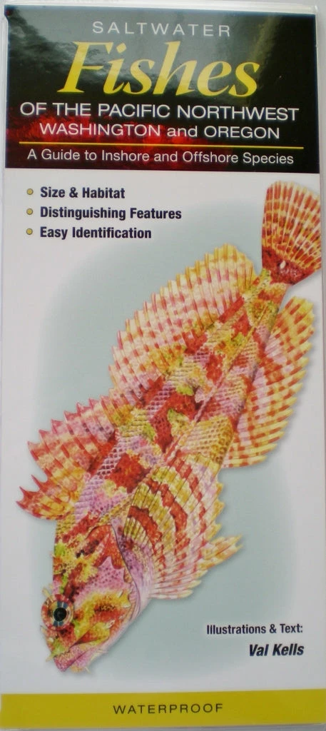 Quick Reference Publishing Gear Quick Reference Fish Guides 8 Quick Reference Publishing Gear Quick Reference Fish Guides