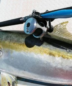 Okuma Celilo Specialty Rod