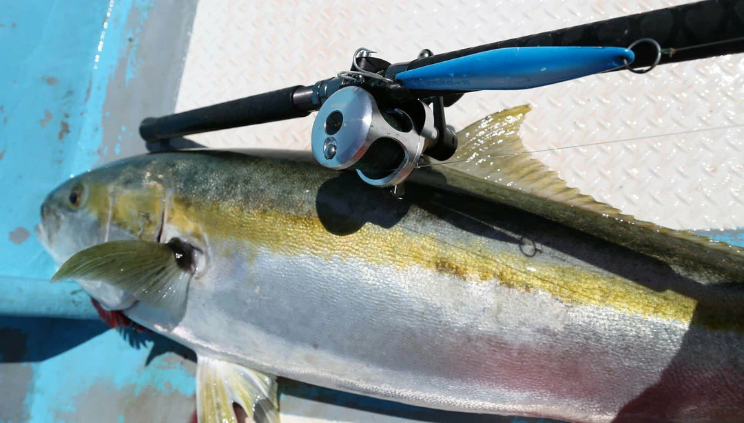 Okuma Celilo Specialty Rod 4 Okuma Celilo Specialty Rod