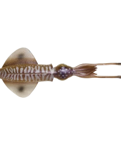 Savage Gear 3D Swim Squids