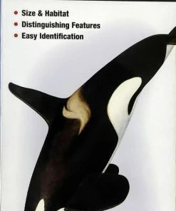 Quick Reference Publishing Gear Quick Reference Fish Guides 17 Quick Reference Publishing Gear Quick Reference Fish Guides