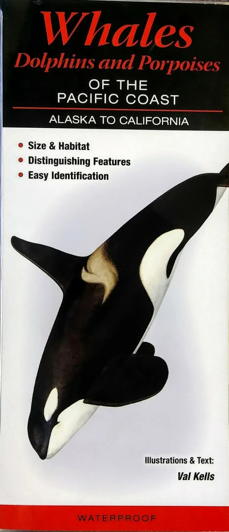 Quick Reference Publishing Gear Quick Reference Fish Guides 10 Quick Reference Publishing Gear Quick Reference Fish Guides