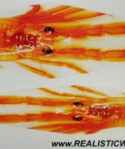 Realistic Wraps For Tady 6X & 6X Jr. Lures