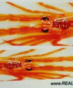 Realistic Wraps For Tady 7X Lures