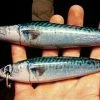 Realistic Wraps For Tady 6X & 6X Jr. Lures