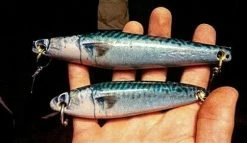 Realistic Wraps For Tady 6X & 6X Jr. Lures