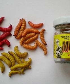 Lures G. Pucci Mummy Grubs