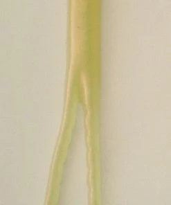 Been There Caught That - Fishing Supply BTCT Spinnerbait Trailers